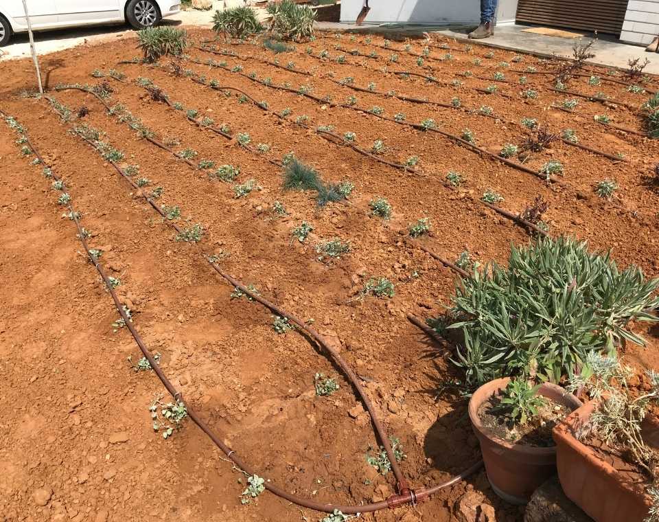 ערוגת גינה חדשה עם צנרת השקיה וטיפוח צמחים צעירים לבית ולגינה