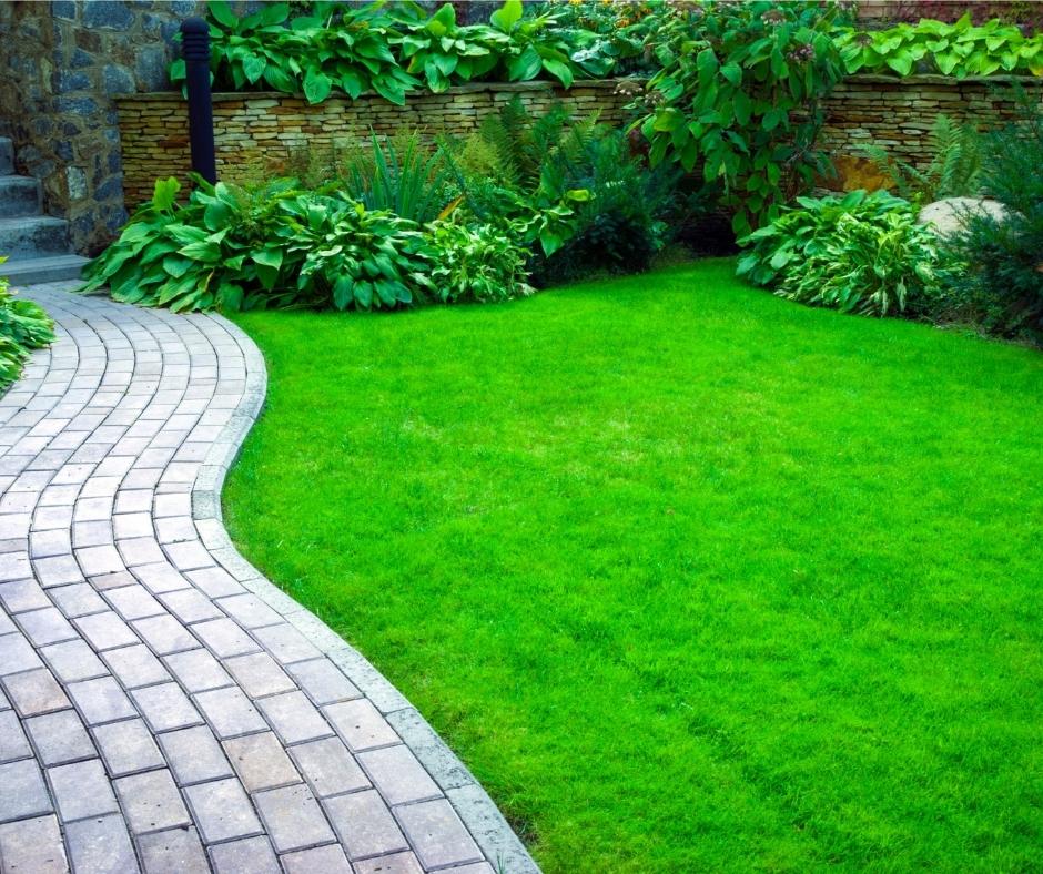 דשא ירוק ומטופח עם שביל אבנים מודרני, מוקף צמחים ירוקים בגינה ביתית מטופחת