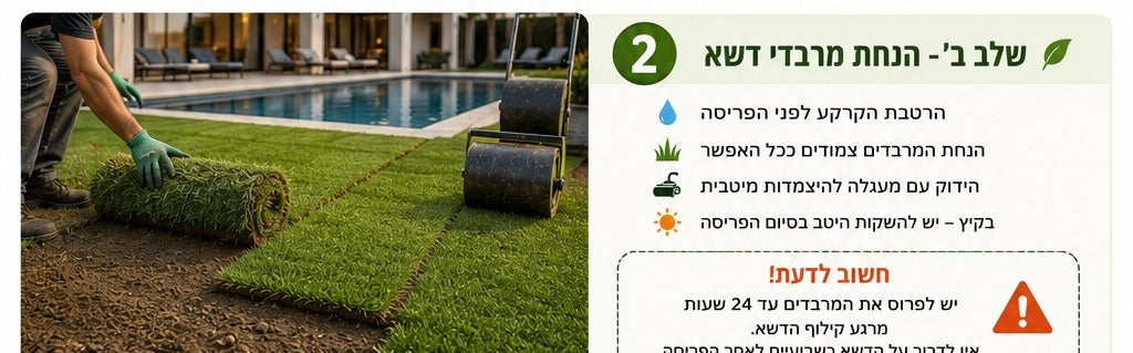 הנחת מרבדי דשא טבעי בגינה ביתית עם בריכה – פרויקט של משתלת אייל