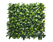 קיר ירוק מתכוונן - עלים ירוקים | 50/50 ס״מ