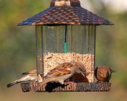 מתקן האכלת זירעונים לציפורים | 20X22 | שחור