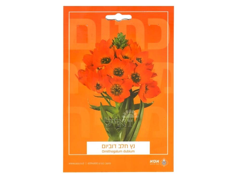 נץ חלב דוביום | 10 יחידות