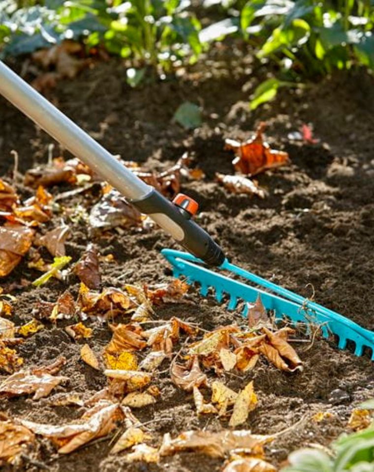 מגרפת פלדה איכותית | רוחב 36 ס"מ | 3168