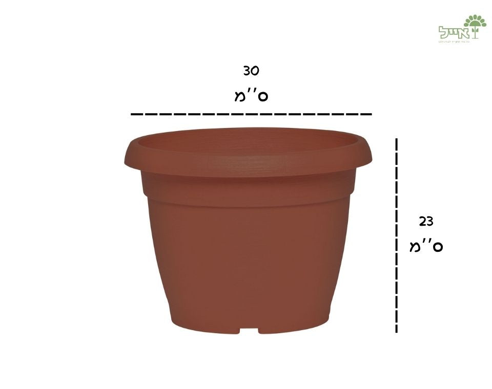 עציץ צבר | טרקוטה | קוטר 30 ס״מ