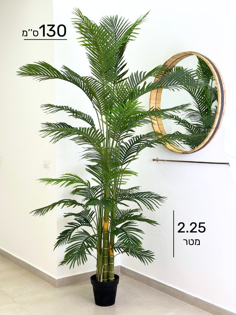 עץ דקל מלאכותי | גובה 2.25 מטר