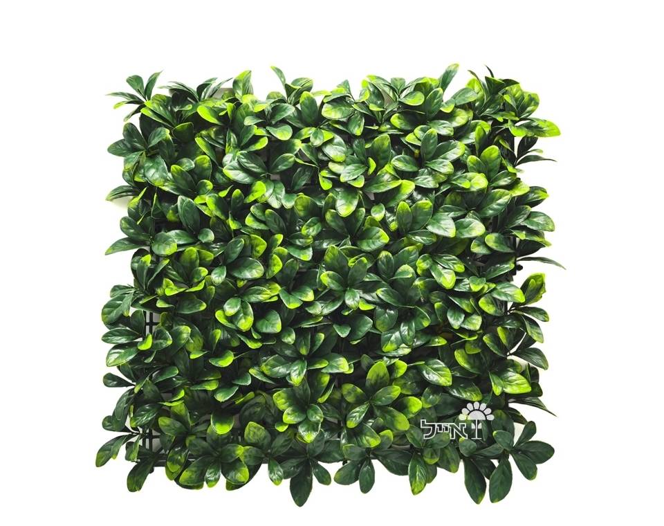 קיר ירוק מתכוונן - עלים ירוקים | 100/100 ס״מ
