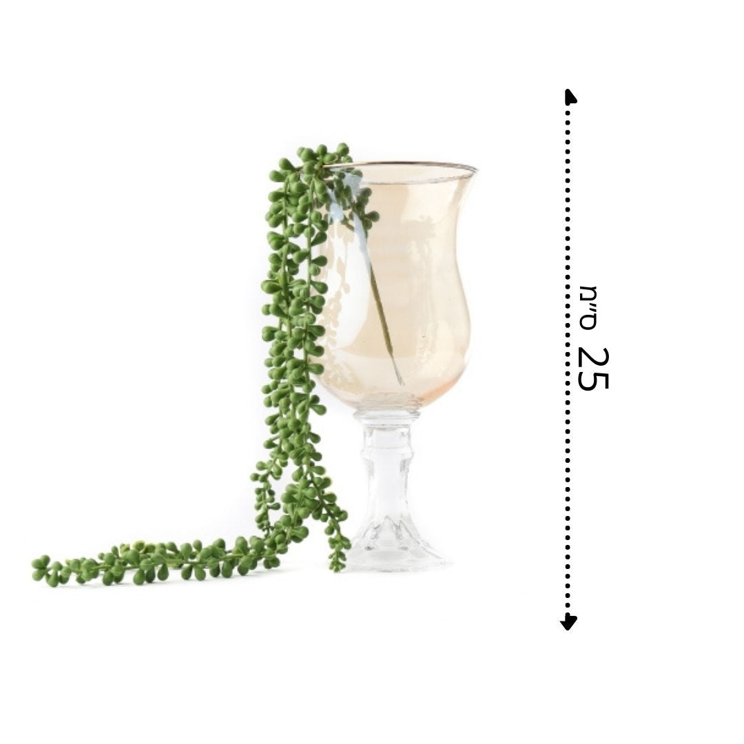 שרשרת גולש ענבים