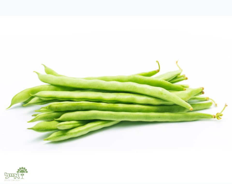 שעועית ירוקה | 10 זרעים