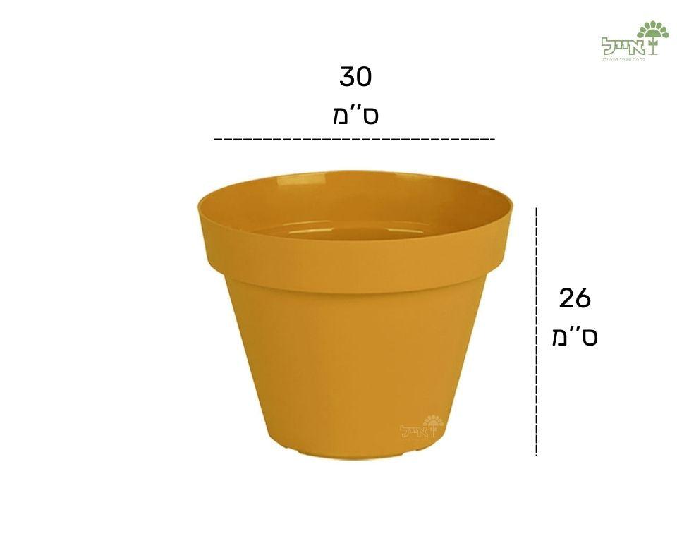 עציץ אביב | חרדל | קוטר 30 ס"מ - משתלת אייל