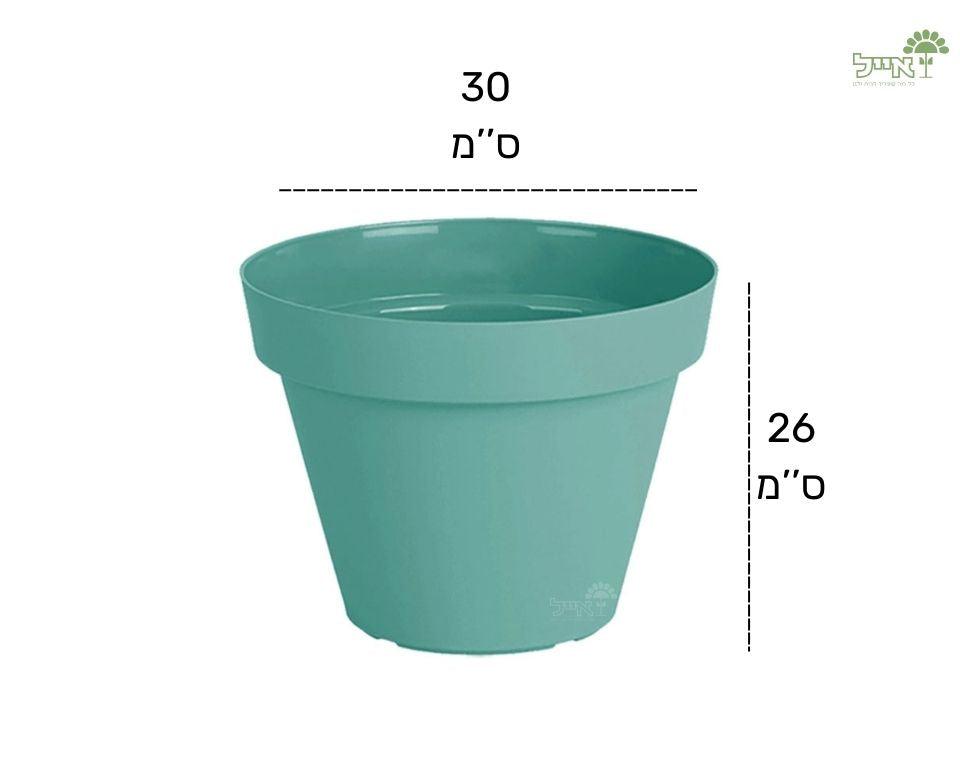 עציץ אביב | מנטה | קוטר 30 ס"מ - משתלת אייל