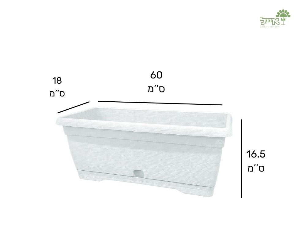 אדנית צבר | לבן | 60 ס״מ