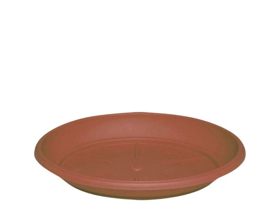 צלחת ערד | תחתית בקוטר 18 ס"מ | גובה 2.2 ס"מ | טרקוטה