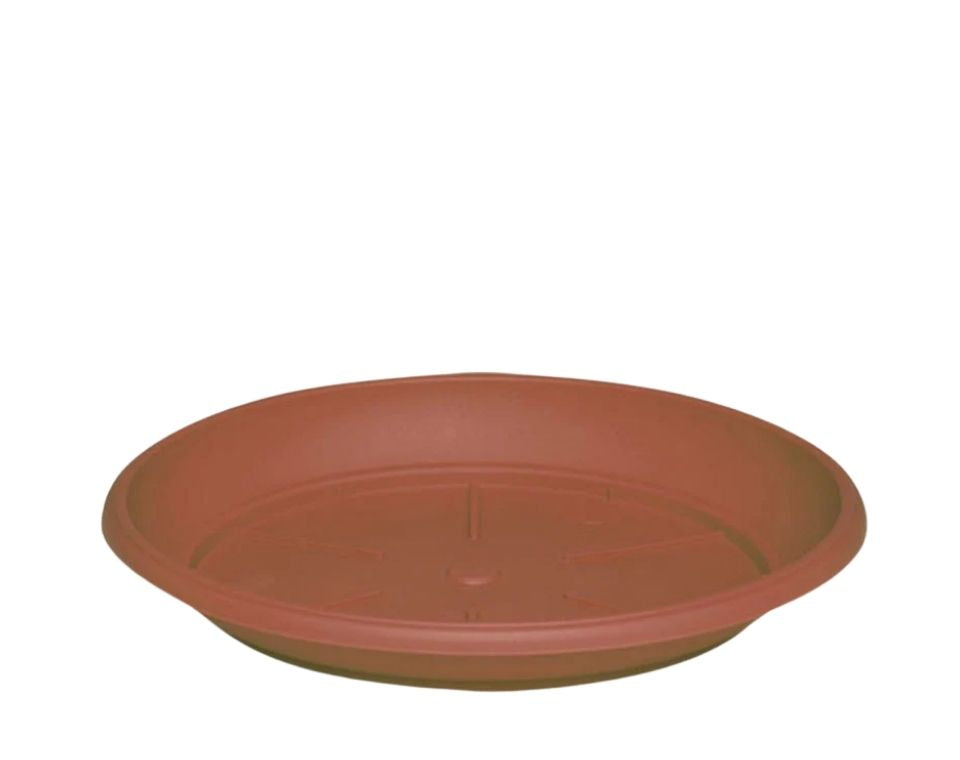 צלחת ערד | תחתית בקוטר 20 ס"מ | גובה 2.7 ס"מ | טרקוטה