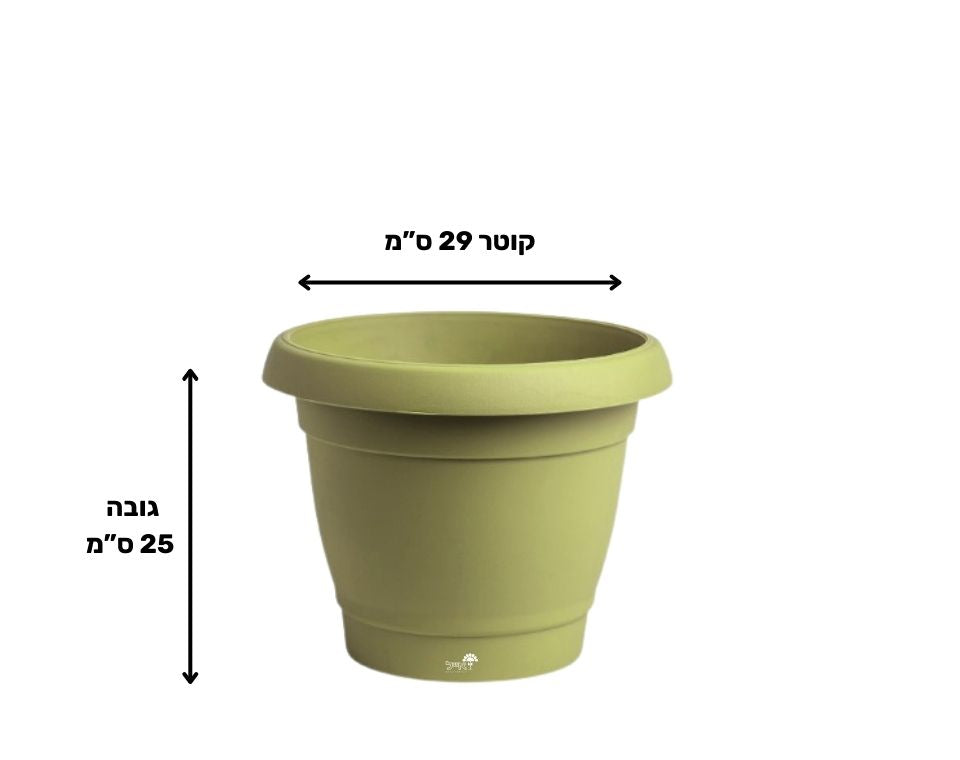 עציץ כרמל | ירוק מרווה | קוטר 29 ס"מ | 8 ליטר של Eyal – מבט מקרוב על הפרטים