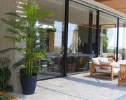 כד קליאופטרה | 54 ס״מ | דקל אריקה מלאכותי ענק