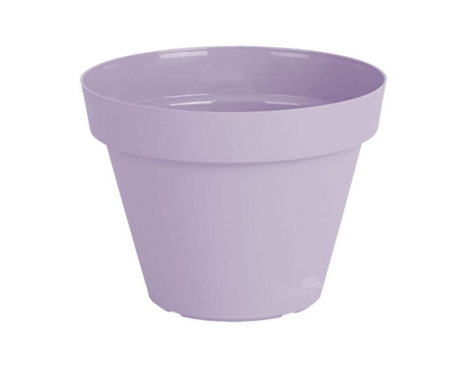 עציץ אביב | סגול לילך | קוטר 25 ס"מ