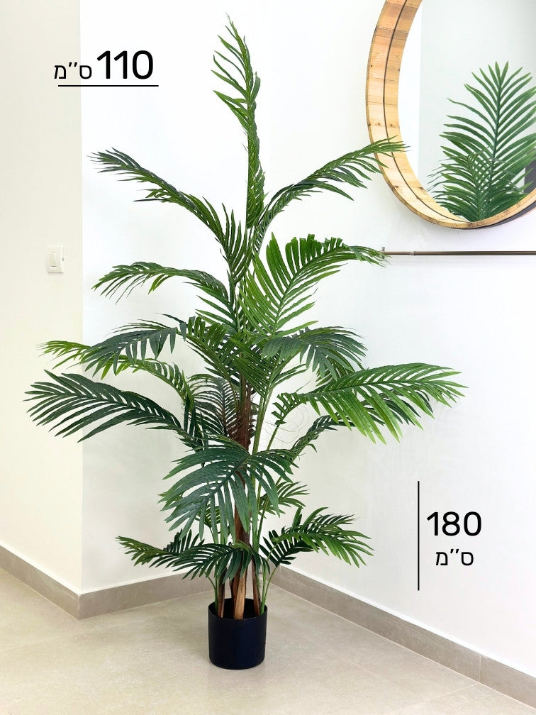 עץ דקל | גובה 180 ס''מ