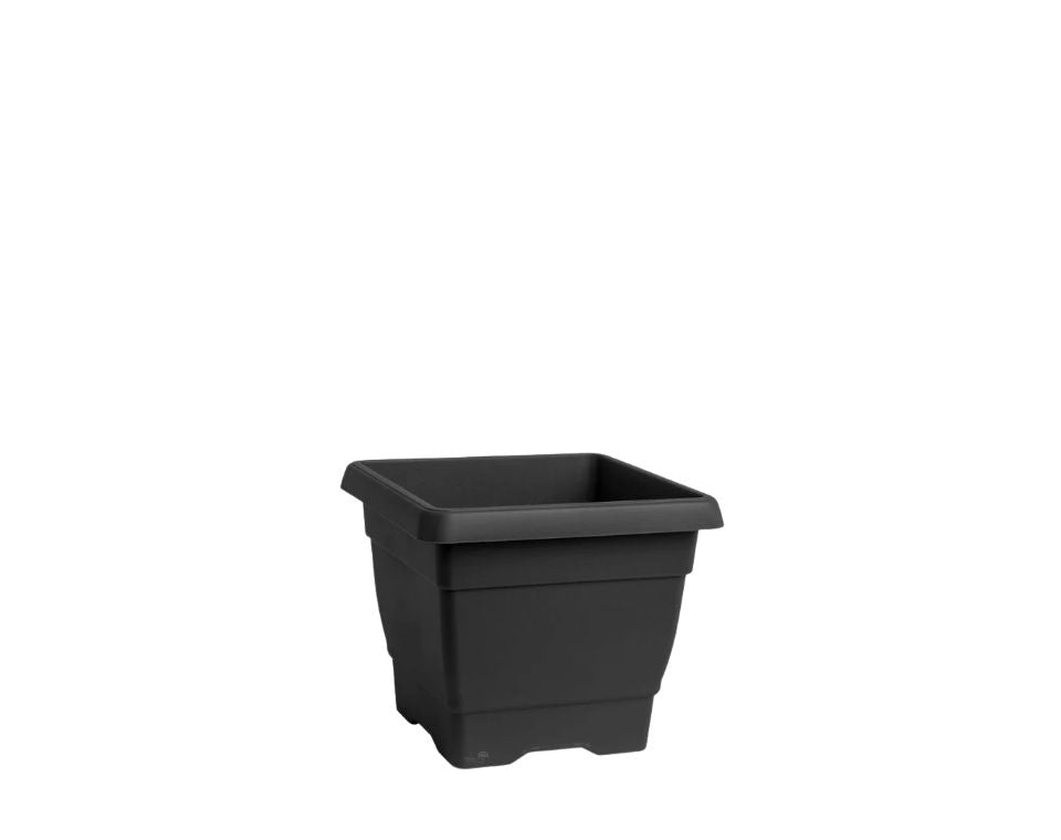 מרובע גלבוע | פחם | 30X30