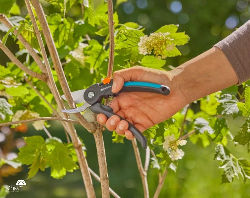 מזמרה ידנית מקצועית | דגם 12241 | GARDENA