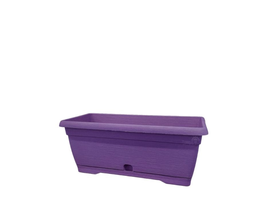 אדנית צבר | סגול | 25 ס״מ