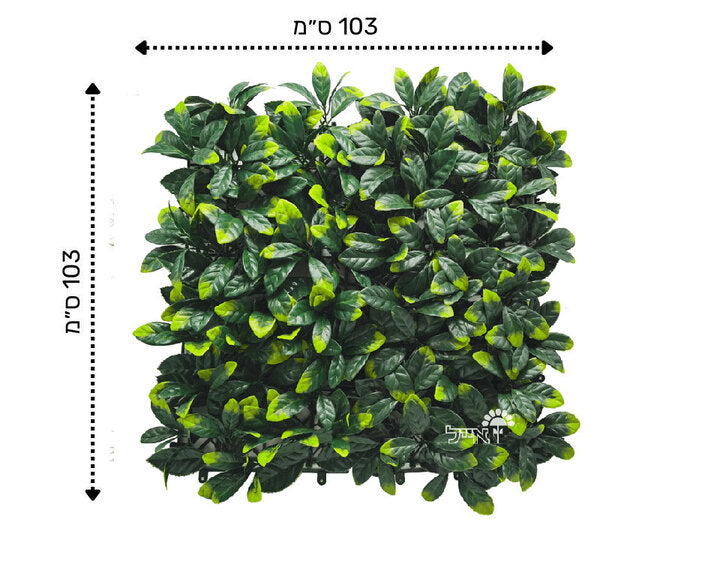 קיר ירוק מתכוונן - ירוק כהה | 50/50 ס״מ