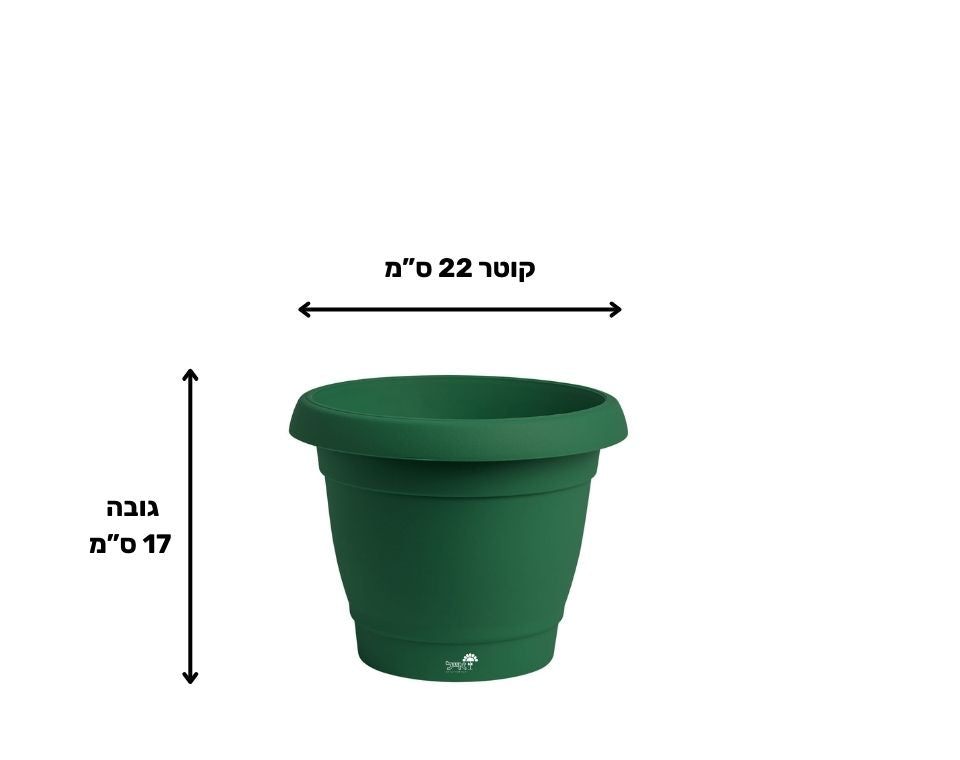 עציץ כרמל | ירוק כהה | קוטר 22 ס"מ | 4 ליטר של Eyal – מבט מקרוב על הפרטים