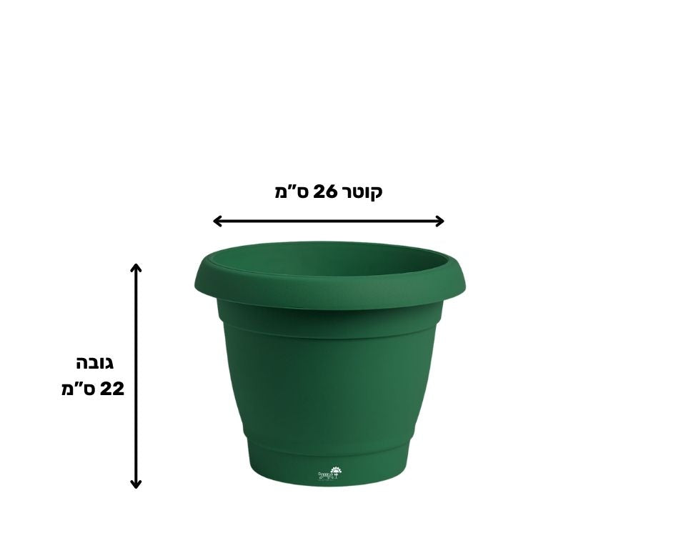 עציץ כרמל | ירוק כהה | קוטר 26 ס"מ | 6 ליטר של Eyal – מבט מקרוב על הפרטים