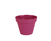 עציץ אביב | ורוד עתיק | קוטר 14 ס"מ