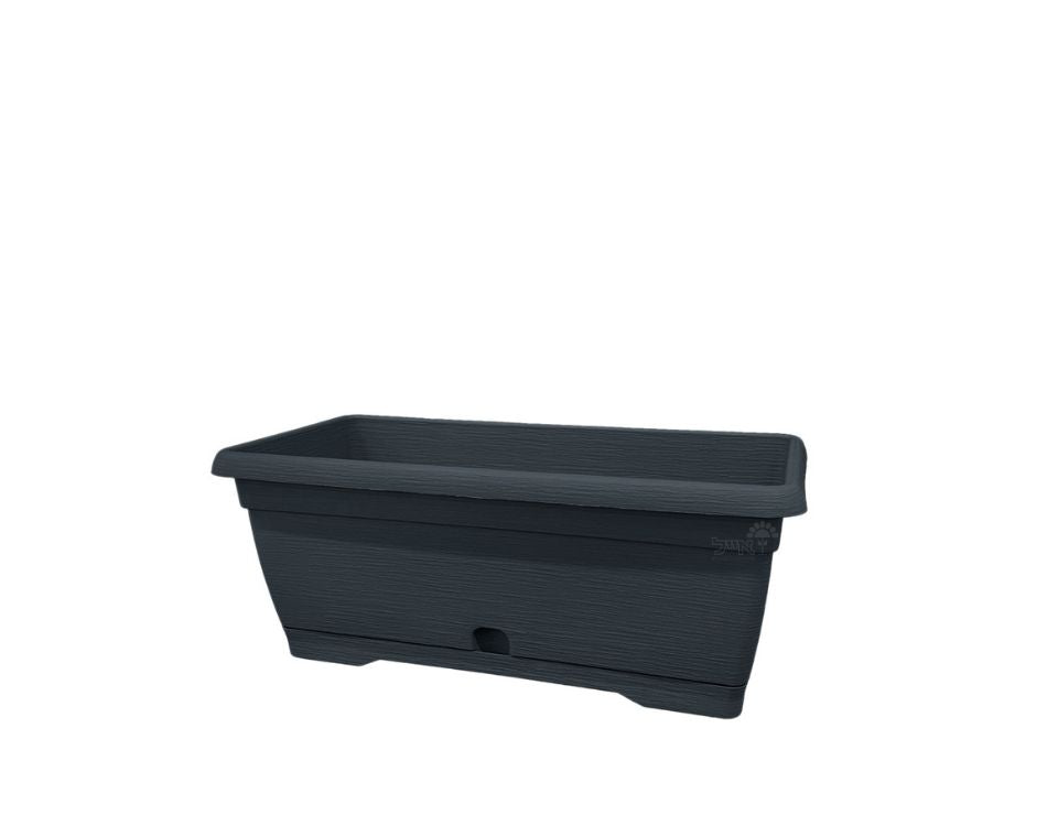 אדנית צבר | פחם | 35 ס״מ