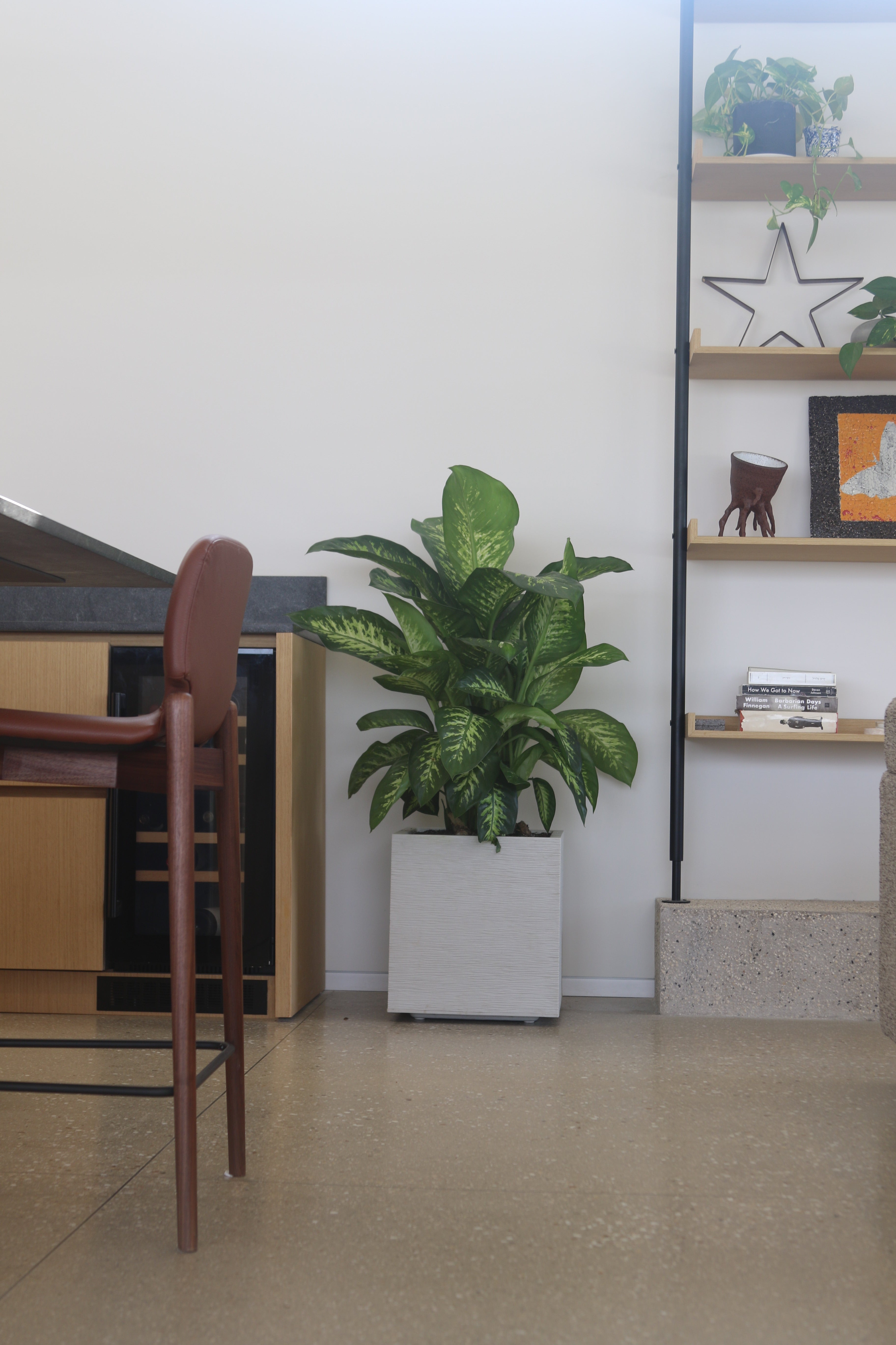 אדנית מרובעת | 39.5 ס״מ | צמח דיפנבכיה