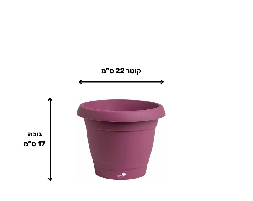 עציץ כרמל | סגול | קוטר 22 ס"מ | 4 ליטר של Eyal – מבט מקרוב על הפרטים