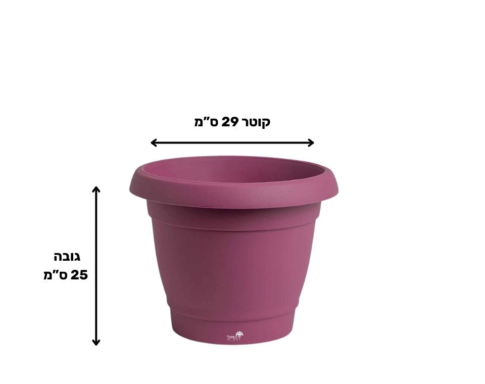 עציץ כרמל | סגול | קוטר 29 ס"מ | 8 ליטר של Eyal – מבט מקרוב על הפרטים