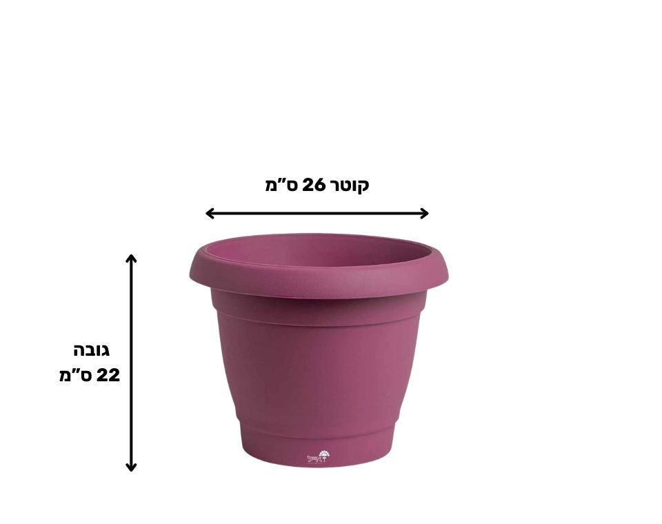 עציץ כרמל | סגול | קוטר 26 ס"מ | 6 ליטר של Eyal – מבט מקרוב על הפרטים