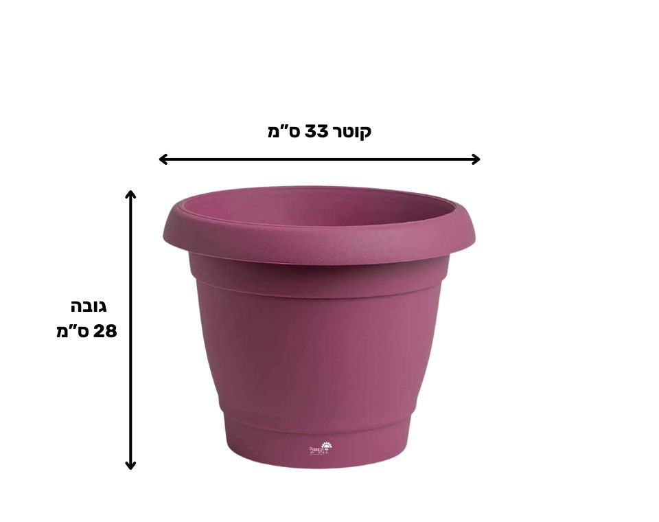 עציץ כרמל | סגול | קוטר 33 ס"מ | 13 ליטר של Eyal – מבט מקרוב על הפרטים