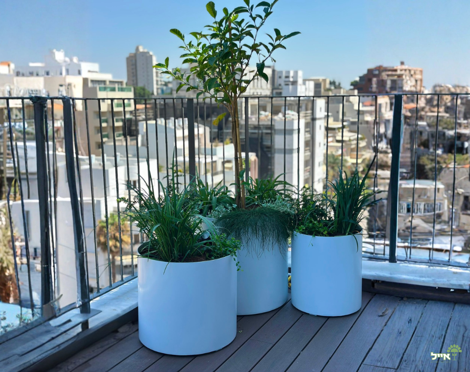 מרפסת בסגנון אורבני מודרני | אדניות וכדי אלומיניום בעיצוב אישי | רחובות