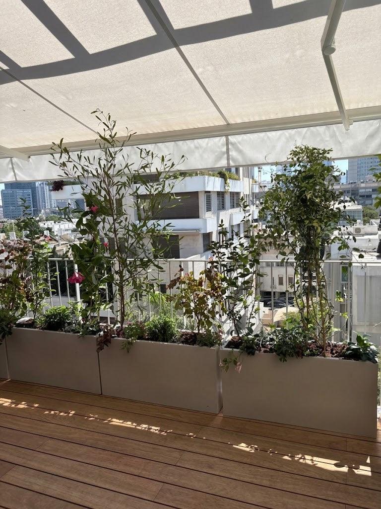 מרפסת בסגנון מודרני ים תיכוני | אדניות וכדי רוטו גבוהים בצבע לבן | תל אביב