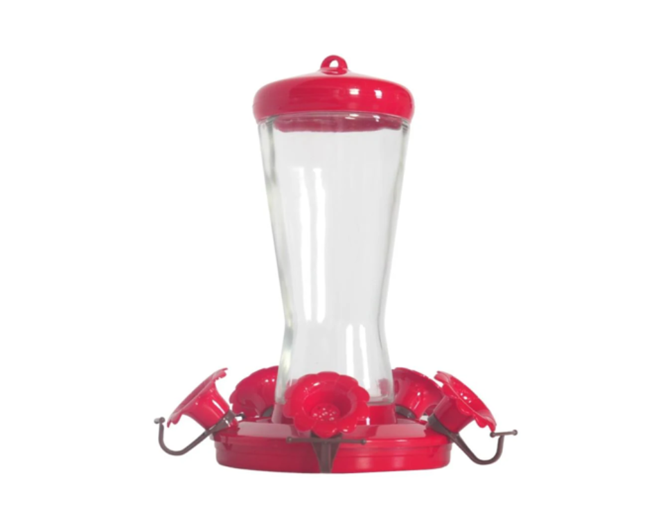 מתקן שתייה והאכלה לציפורים מזכוכית ופלסטיק | אדום