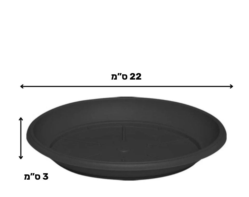 צלחת ערד | תחתית בקוטר 22 ס"מ | גובה 3 ס"מ | פחם