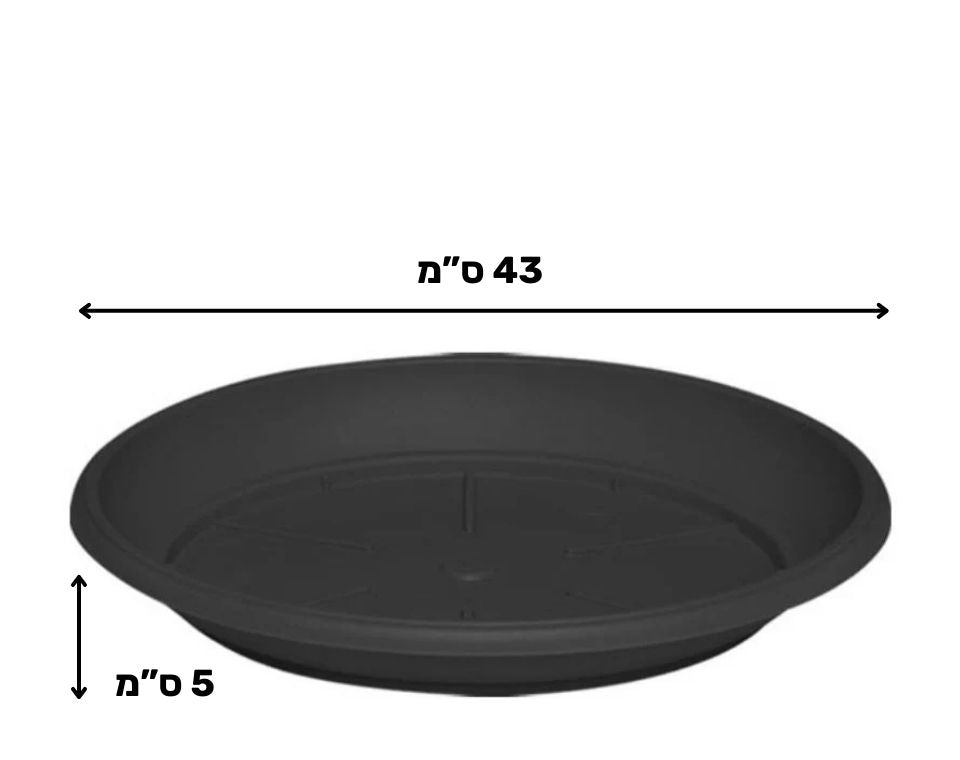 צלחת ערד | תחתית בקוטר 43 ס"מ | גובה 5 ס"מ | פחם