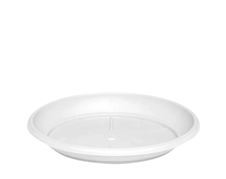 צלחת ערד | תחתית בקוטר 15 ס"מ | גובה 2.2 ס"מ | לבן