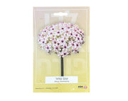 שום שחור | 3 יחידות