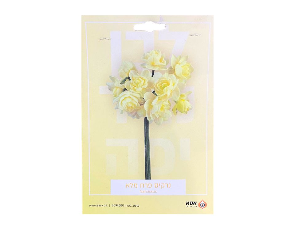 נרקיס חצוצרה צהבהב מלא | 5 יחידות