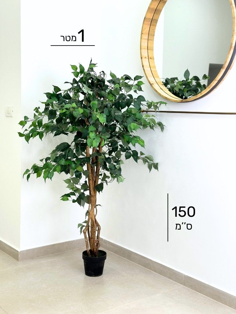 עץ מלאכותי פיקוס מגוון | גובה 150 ס"מ