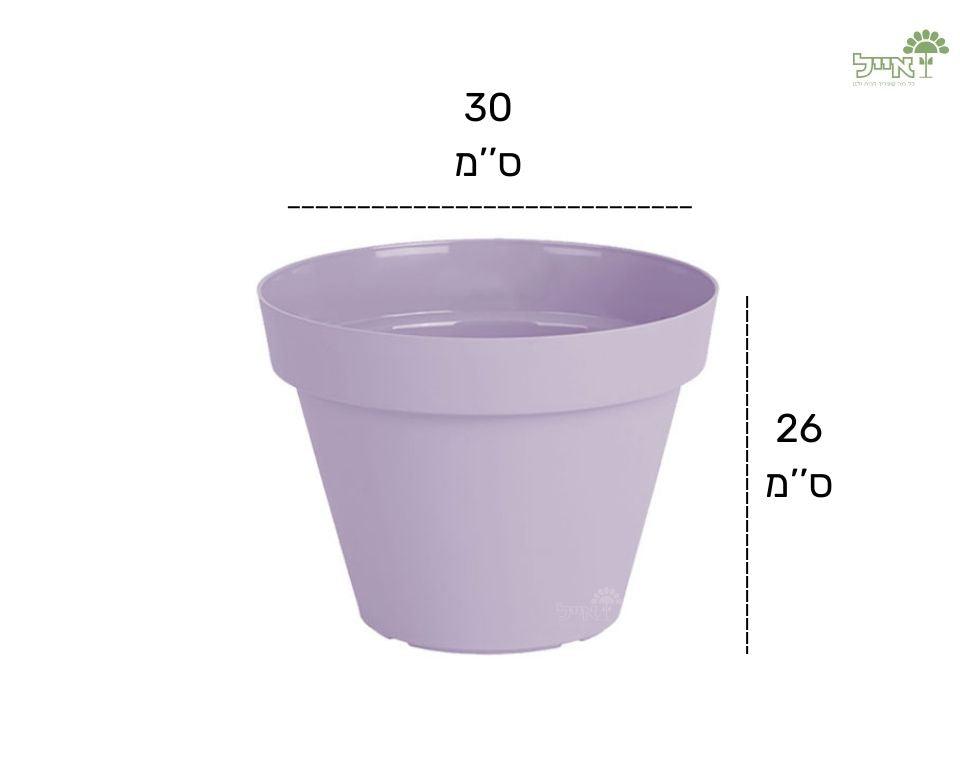 עציץ אביב | סגול לילך | קוטר 30 ס"מ - משתלת אייל