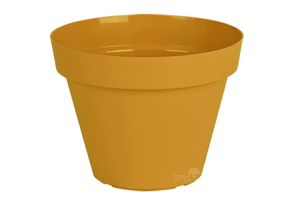 עציץ אביב | חרדל | קוטר 40 ס"מ