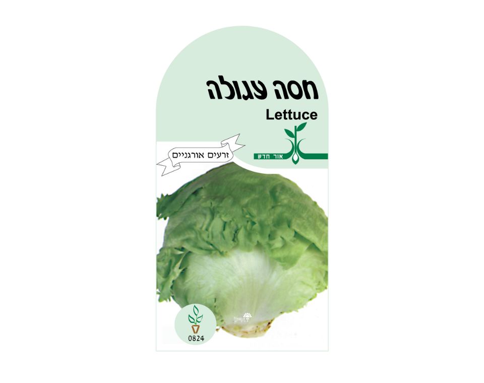 חסה עגולה | כ-80 זרעים