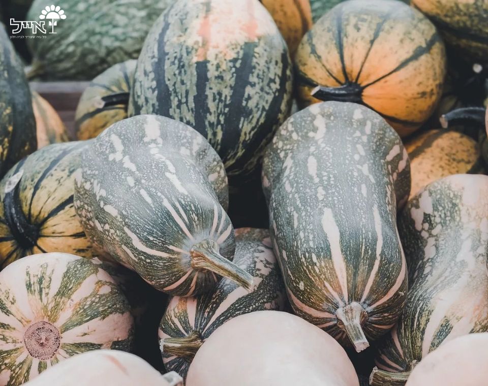 מיקס דלעות | 10 זרעים