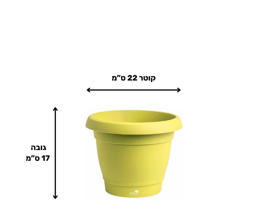 עציץ כרמל | צהוב | קוטר 22 ס"מ | 4 ליטר של Eyal – מבט מקרוב על הפרטים