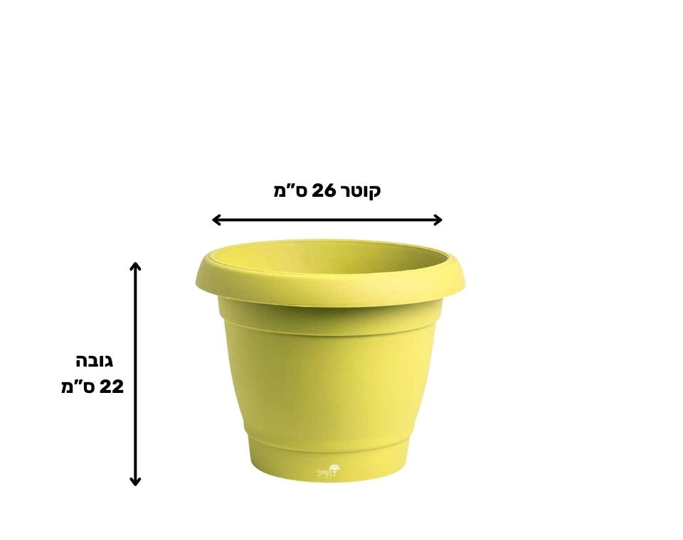 עציץ כרמל | צהוב | קוטר 26 ס"מ | 6 ליטר של Eyal – מבט מקרוב על הפרטים