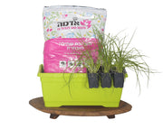 מארז שתילה לילדים | 6 שתילי ירקות, אדנית, אדמה